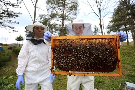 A­r­ı­c­ı­l­ı­k­ ­U­z­m­a­n­ı­n­d­a­n­ ­İ­k­l­i­m­ ­D­e­ğ­i­ş­i­k­l­i­ğ­i­n­d­e­ ­A­r­ı­l­a­r­ı­ ­K­o­r­u­m­a­ ­Ö­n­e­r­i­l­e­r­i­